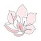 Pink Flower in one line art style. Magnolia blossom in Continuous drawing can used for icon, wall art prints, posters