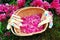 Pink Flower Pedals in a Woven Wood Basket