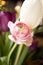 Pink flower rose tulip nosegay wedding floral romance valentine
