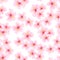 Pink flower, sakura seamless pattern. Japanese cherry blossom for fabric textile design.