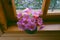Pink flower vase with many tiny daisy blossom on wooden window frame