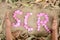 Pink flower writing with hands social cooperative responsibility on the clay brown drilled leafs background