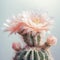 Pink Flowered Cactus On Gray Background: A Poetcore Lush Baroque Still Life