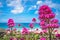 Pink flowers above St Ives Porthmeor beach