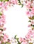 Pink flowers - apple, cherry blossom. Floral border for shabby background. Watercolor