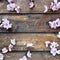 Pink flowers of apple tree or peach tree on wooden boards. Delicate inflorescences arranged in circle. Soft focus