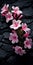 Pink Flowers On Black Slate: Realistic Photography With Minimal Retouching