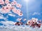 Pink flowers blooming against blue sky with shiny sun