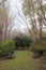 Pink flowers blooming on green trees in backyard courtyard of southern plantation