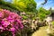 Pink flowers and details of the historic Yuyuan Garden during summer sunny day in Shanghai, China