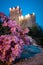 Pink flowers in front of Aldobrandesca Rocca di Talamone