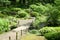 Pink flowers, green plants, tree, footpath in garden