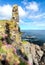 Pink flowers grow on large sea cliffs in Scotland