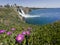 Pink flowers with Lower DÃ¼den Falls droping off a rocky cliff falling from about 40 m into the Mediterranean Sea in amazing water