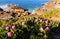 Pink Flowers and Ocean Cliffs