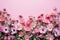 Pink flowers on pink background. Flat lay, top view, copy space