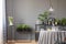 Pink flowers and plants in grey dining room interior with lamp a