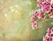Pink flowers spring romantic background