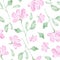 Pink flowers watercolor painting - hand drawn seamless pattern with blossom on white background