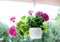 Pink flowers in white hanging flower pot