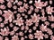 Pink flying flowers on a black background as a wallpaper