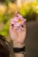 Pink frangipani flowers in the woman`s hand