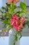 Pink freesia floral arrangement