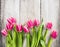 Pink fresh tulips flowers on gray wooden background