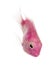 Pink fresh water fish swimming down, isolated