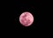 Pink full moon on the dark night