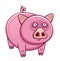 Pink funny pig