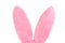 Pink Furry Bunny Ears on white with copy space