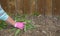 Pink gardening glove pulling weeds