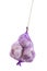Pink garlic hanging packed in a purple net bag on white background