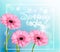 Pink gerbera daisies on a blue bokeh background.