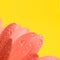 pink gerbera daisy flower petals with waterdrops on yellow background