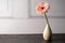 Pink Gerbera daisy flower in vase. Beautiful moody floral background