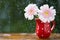 Pink Gerbera daisy flowers in jug with polka dots under the rain on wooden table outdoors