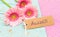 Pink gerbera daisy flowers and label with german word, Auszeit, means timeout