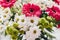 Pink gerbera,white daisy and green chrysanthemum in beautiful br