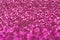 Pink giltter bokeh abstract background