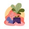 The pink girl sleeping and hugging her palm. The happy woman loves home flowers and plant pots.
