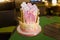 Pink girlish cake with flowers , candles and princess figure in crown.