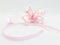 Pink Girly Shiny Artistic Ribbon Symbol for Anniversary and Valentine Gift in White Isolated Background 02