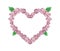 Pink Glory Bower Flowers in Heart Shape