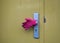 Pink glove covering a door handle of an ocre colored door of a c