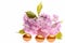 Pink and golden Coloured eggs and light Japanese sakura in bouquet isolated