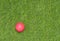 Pink golf ball