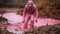 Pink Gorilla In Mythical Style: A Captivating Schlieren Photography
