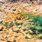 pink granite beach of Ile-de-Brehat island